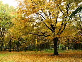 DSCN0858.JPG